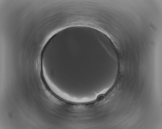 X0000112071515200909011012