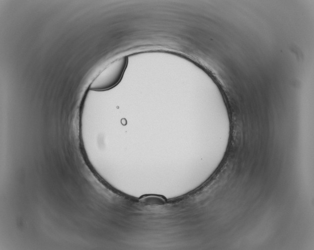 X0000112071516200909011012