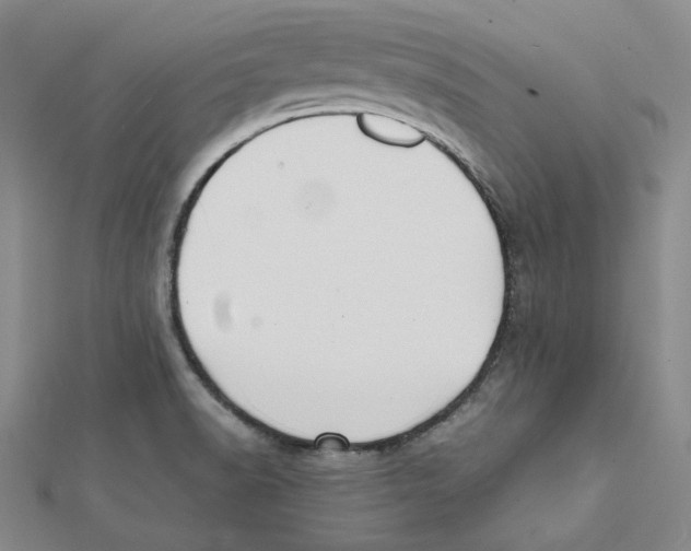 X0000112071518200909011012
