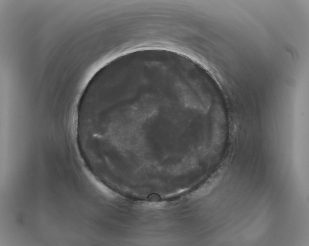 X0000112071519200909011012
