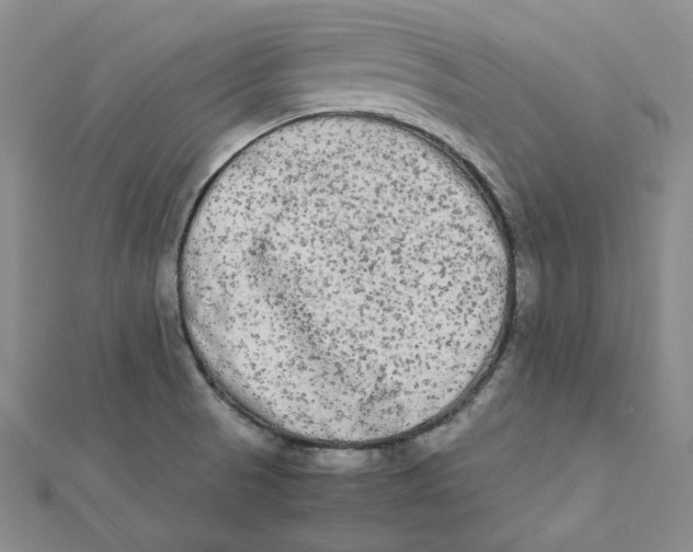 X0000112071521200909011012
