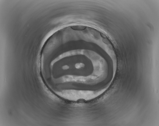 X0000112071522200909011012