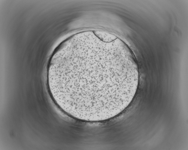 X0000112071523200909011012