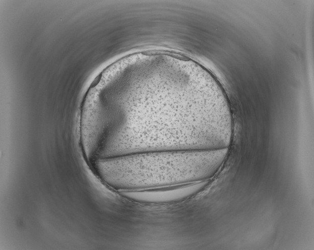 X0000112071524200909011012