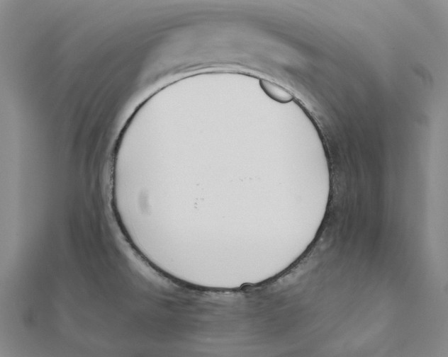 X0000112071526200909011012