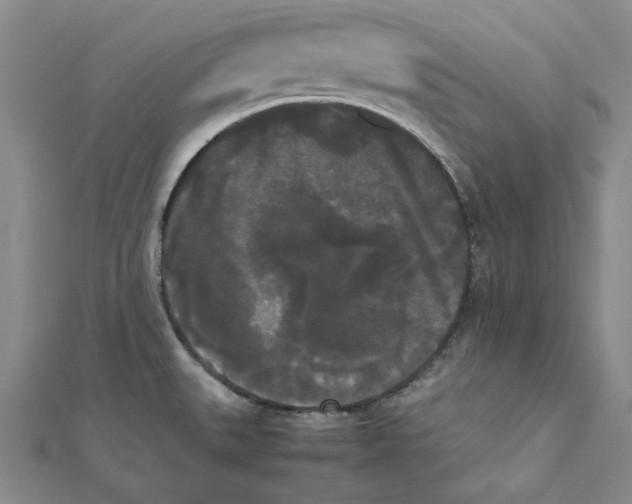 X0000112071527200909011012