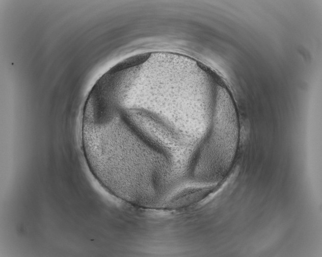 X0000112071528200909011012