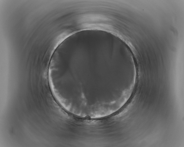 X0000112071529200909011012