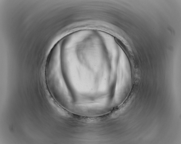 X0000112071530200909011012