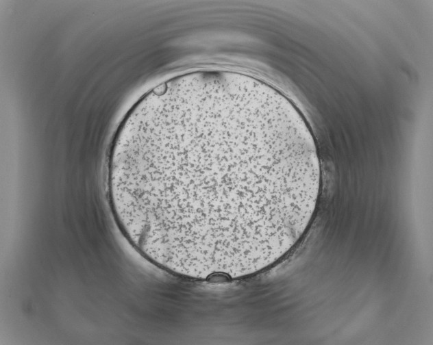 X0000112071531200909011012