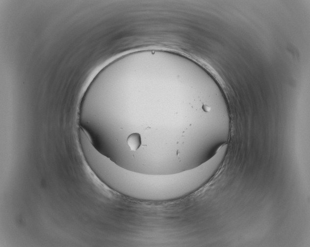 X0000112071532200909011012