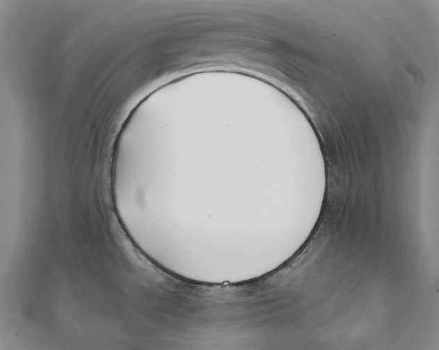 X0000112071534200909011012