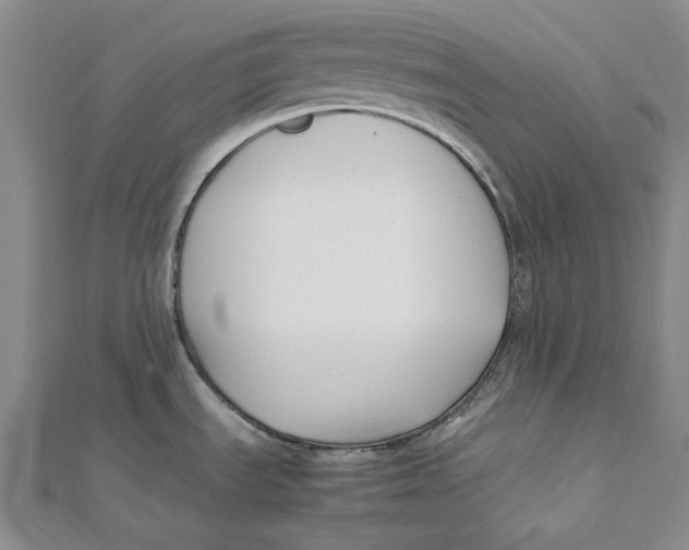 X0000112071535200909011012