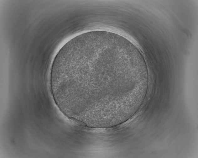 X0000112071536200909011012