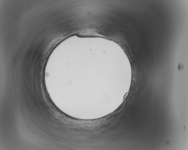 X0000112070001200909151059