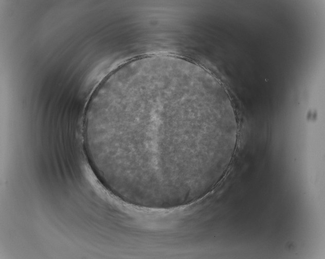 X0000112070002200909151059