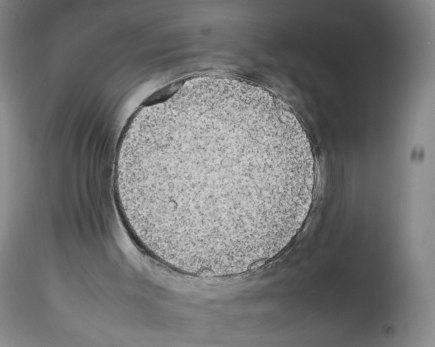 X0000112070003200909151059