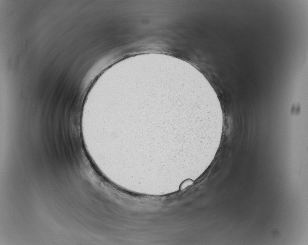 X0000112070004200909151059