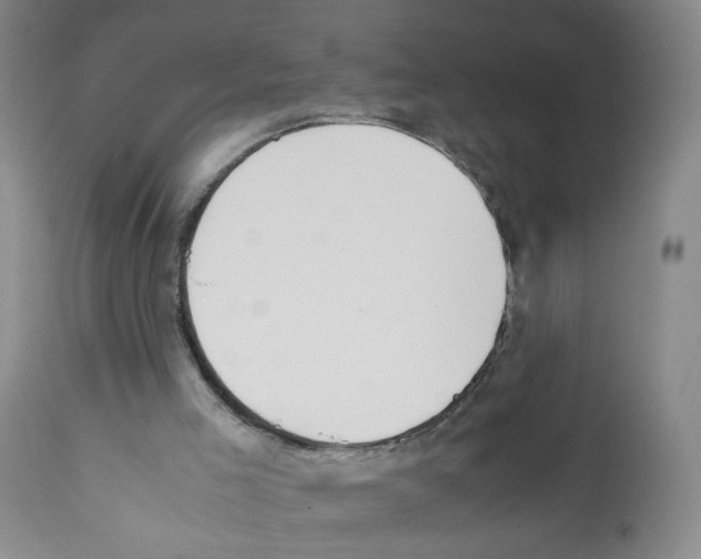 X0000112070005200909151059