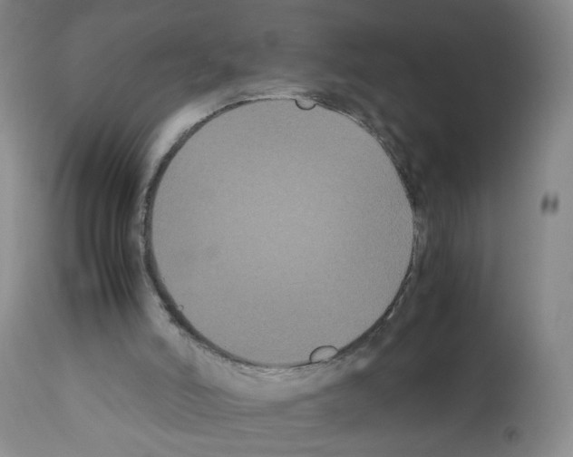 X0000112070006200909151059