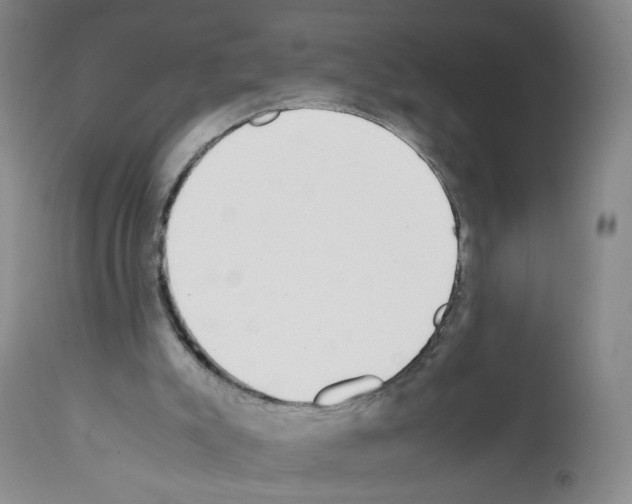 X0000112070007200909151059
