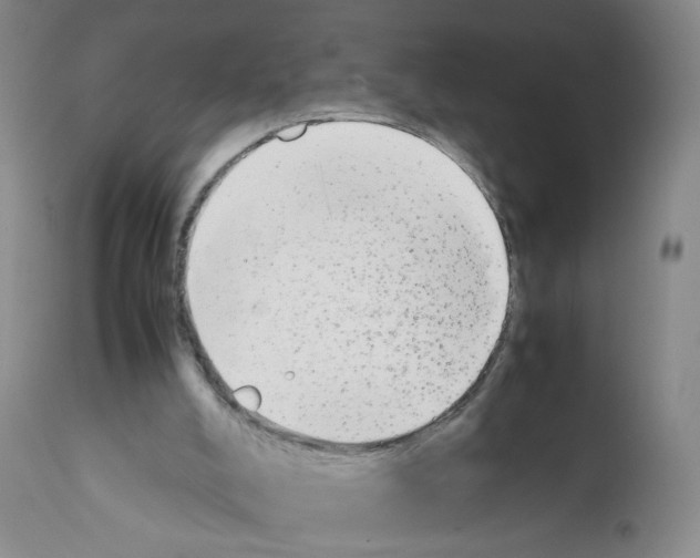 X0000112070008200909151059