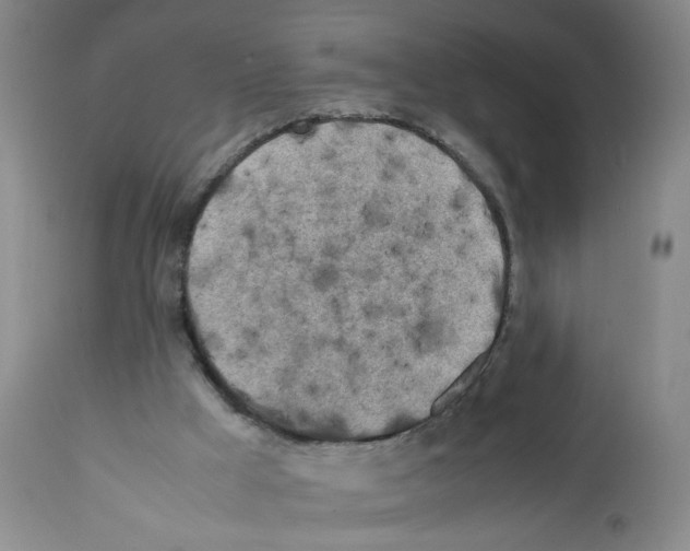 X0000112070009200909151059