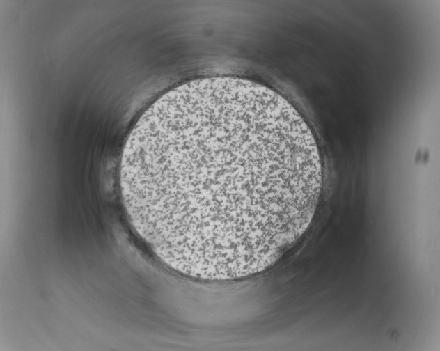 X0000112070010200909151059