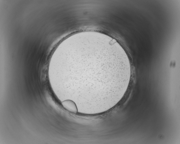 X0000112070012200909151059