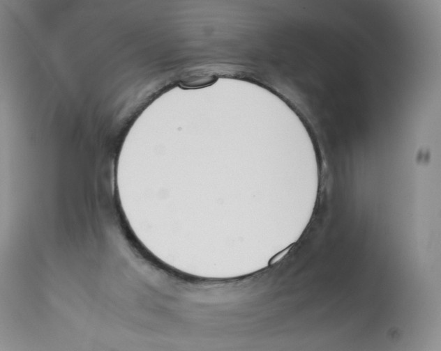 X0000112070013200909151059