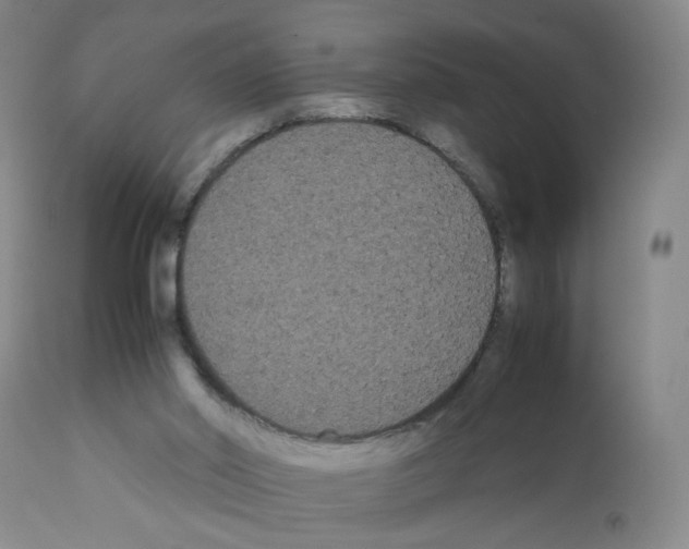 X0000112070014200909151059