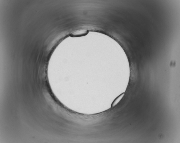 X0000112070015200909151059