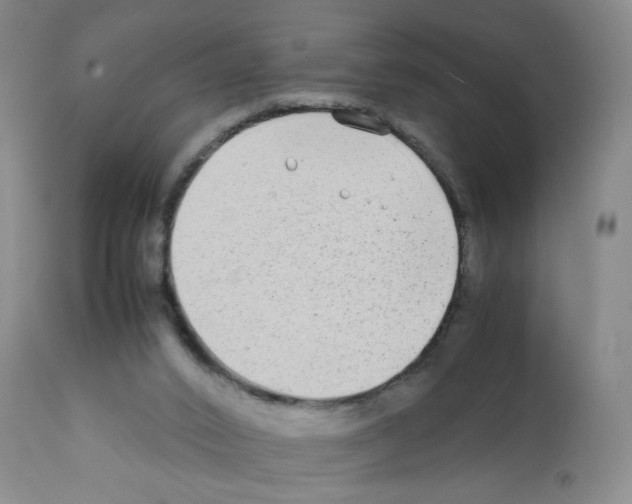 X0000112070016200909151059