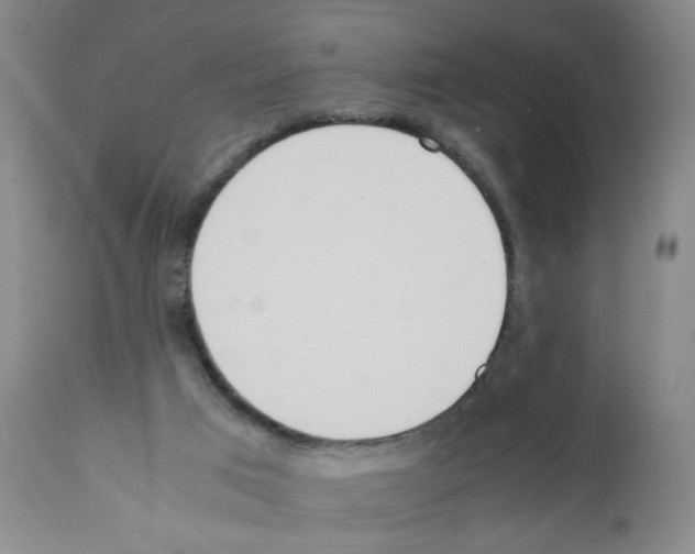 X0000112070017200909151059