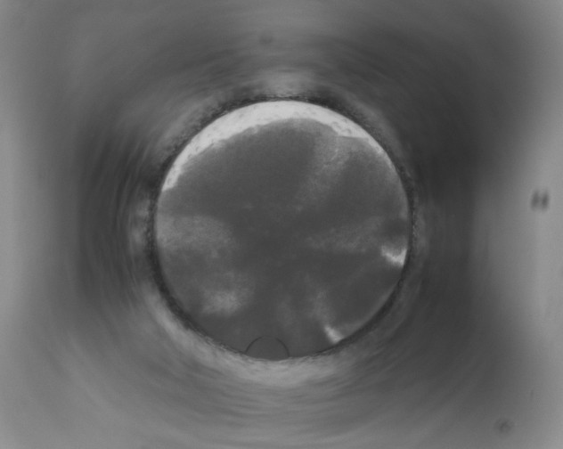 X0000112070018200909151059