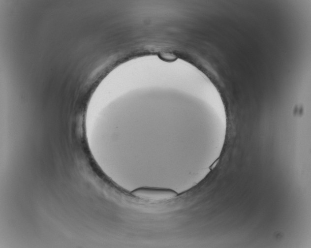 X0000112070019200909151059