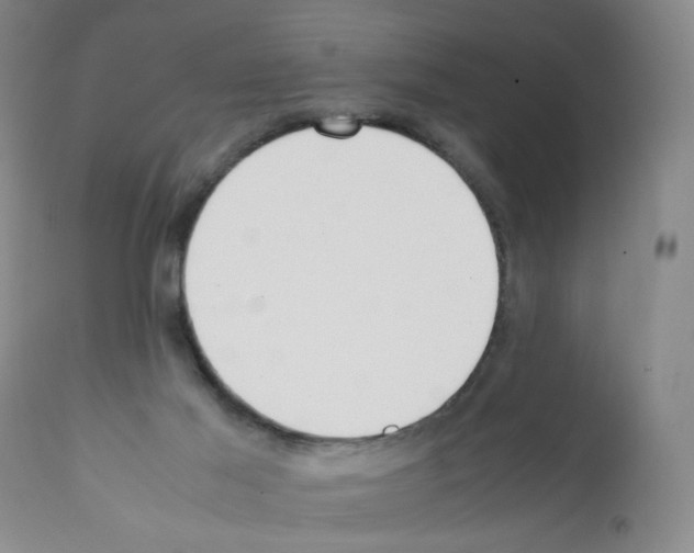 X0000112070021200909151059