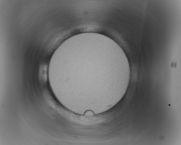 X0000112070022200909151059