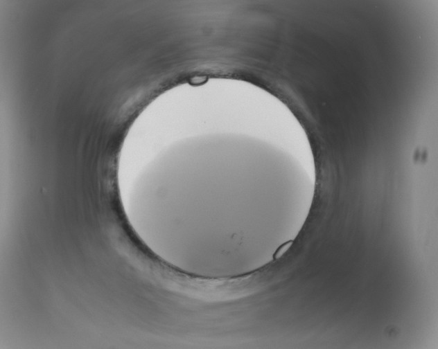 X0000112070023200909151059