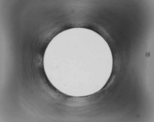 X0000112070025200909151059