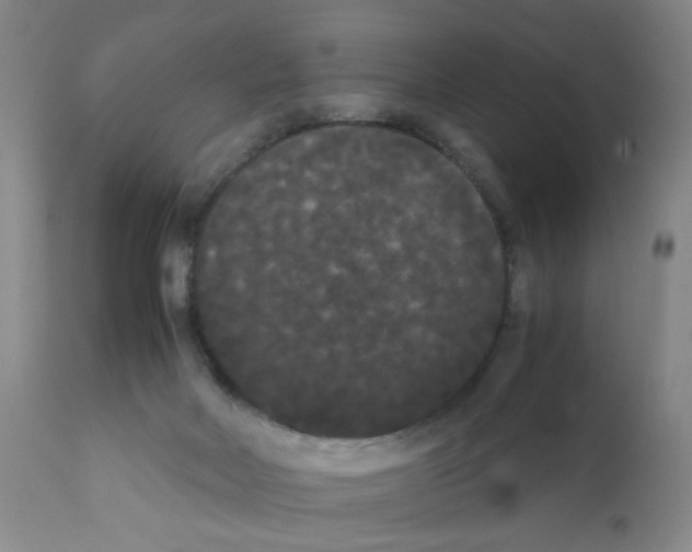 X0000112070026200909151059