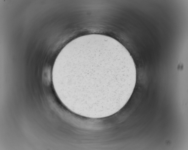 X0000112070028200909151059
