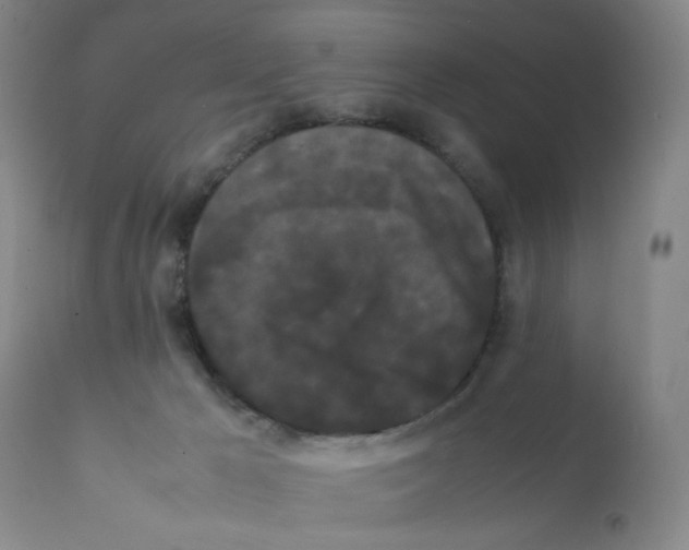 X0000112070029200909151059