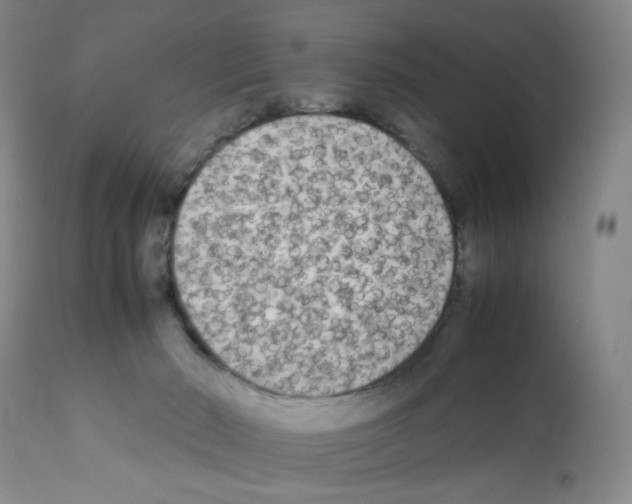 X0000112070030200909151059