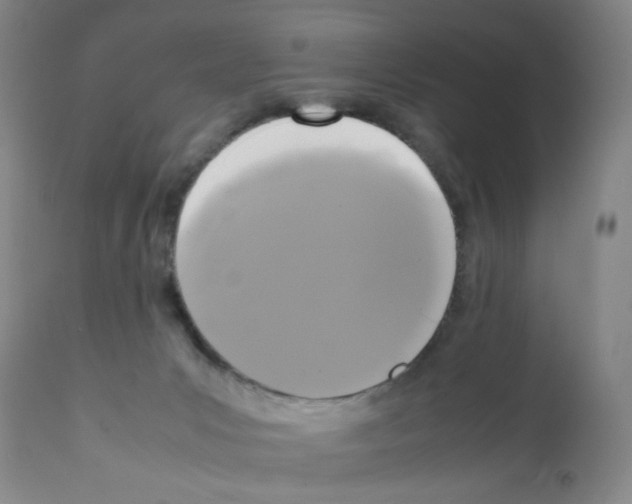 X0000112070031200909151059