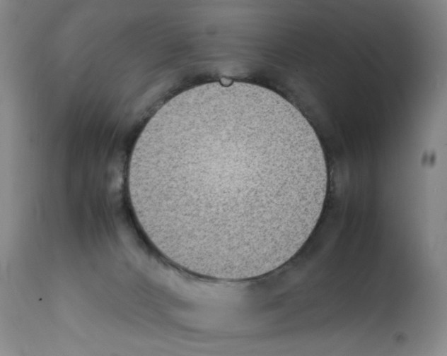 X0000112070032200909151059