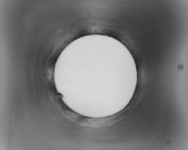 X0000112070033200909151059
