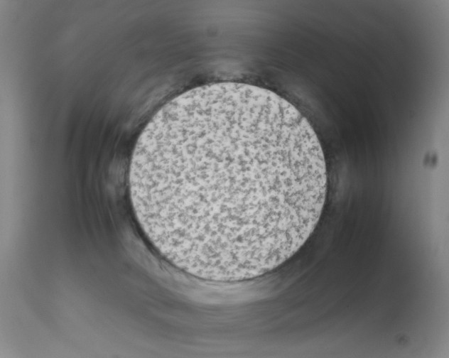 X0000112070034200909151059