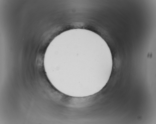 X0000112070037200909151059