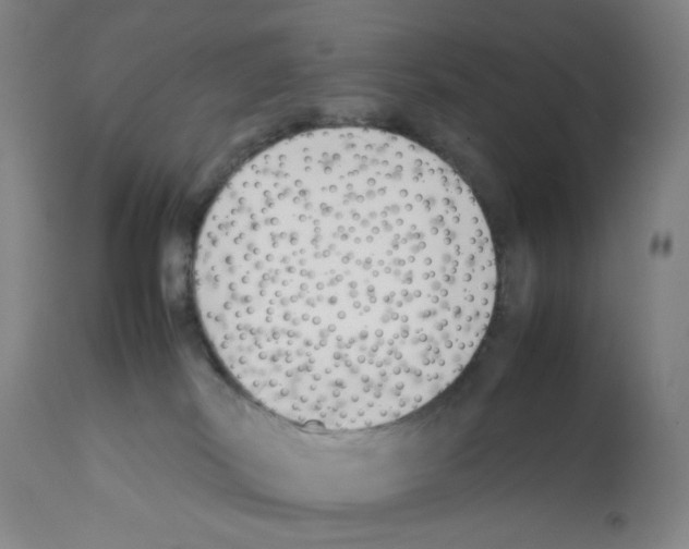 X0000112070038200909151059